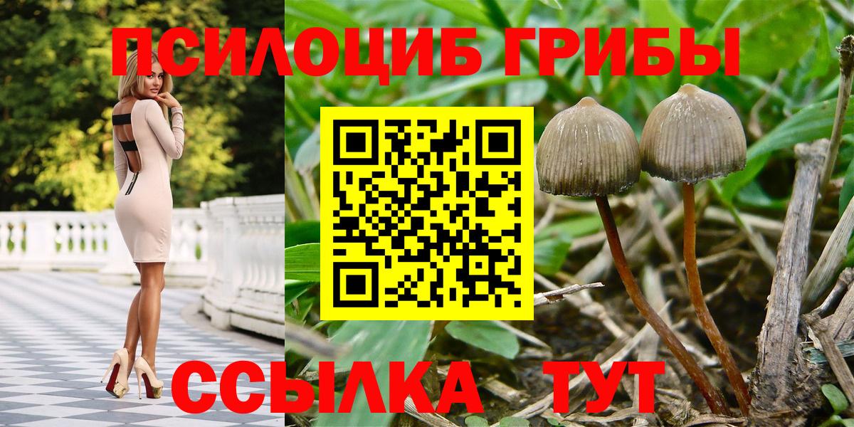 Галлюциногенные грибы Cubensis  Псилоцибиновые грибы ЛСД  Шелехов  Вход с VPN 